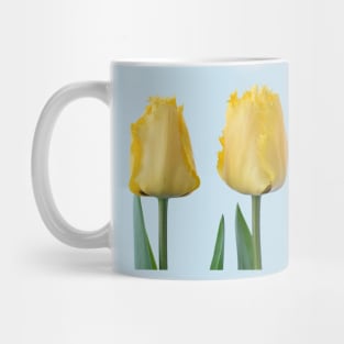 Tulipa &#39;Crystal Star&#39; Fringed Tulip Mug